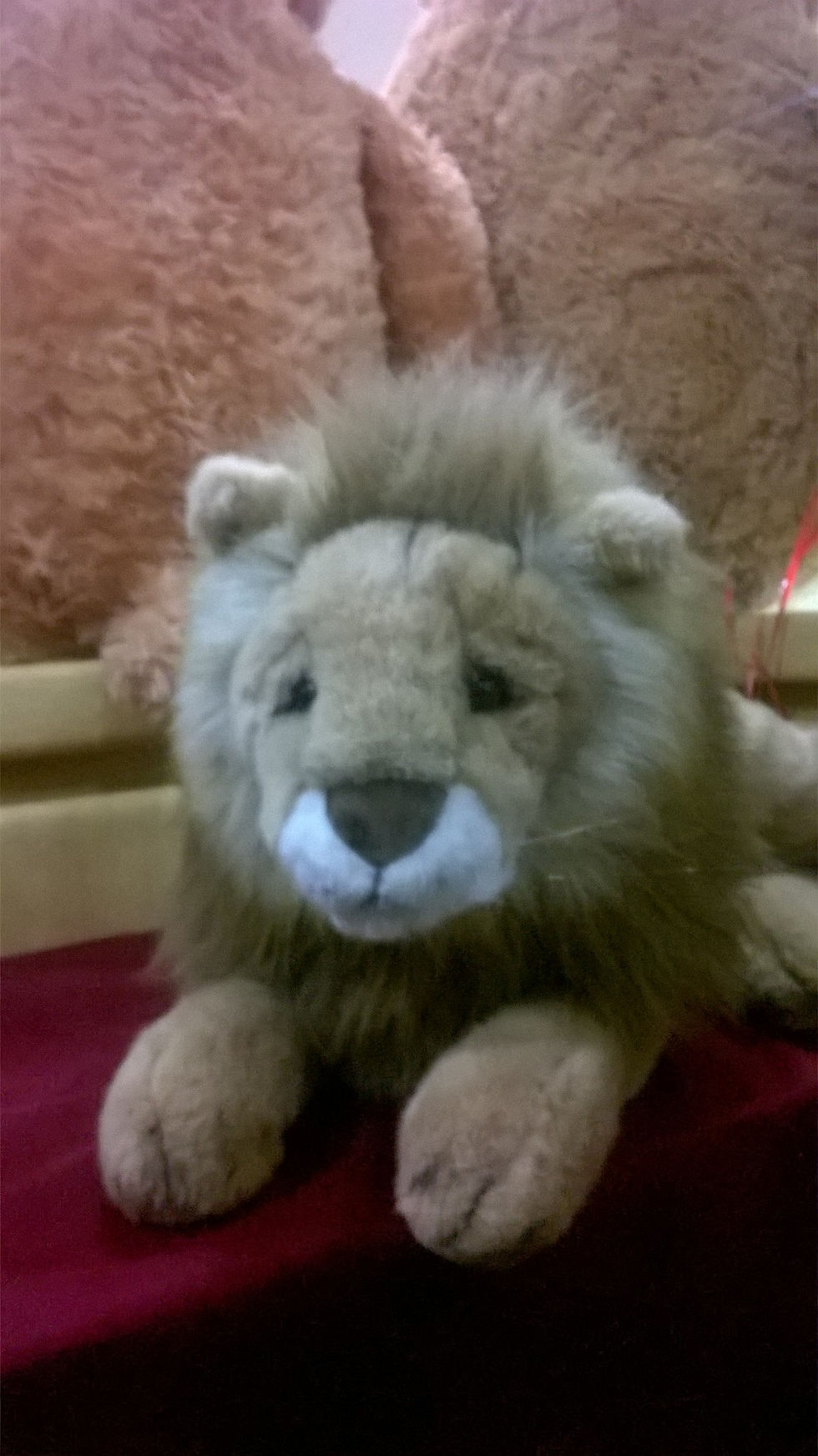 rey leon 350q mide 80