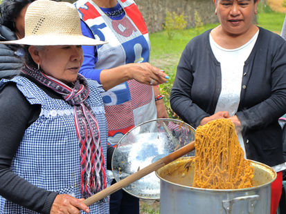 Preservando el color de las raíces: Taller de teñido de lana con tintes naturales