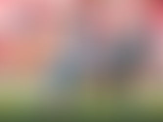 Los Diablos caen en su visita ante Querétaro