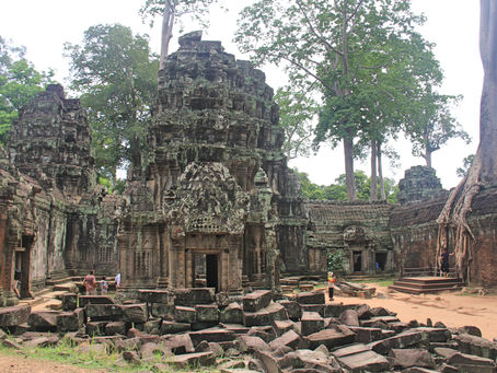 Jungle Temple Ta Prohm