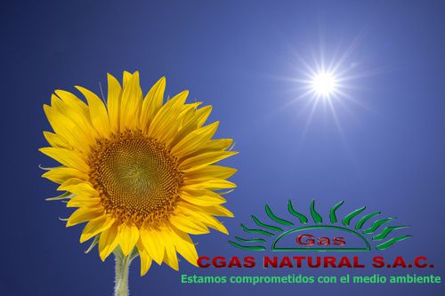 CGAS NATURAL S.A.C.
