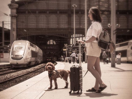 Dog Passport EU