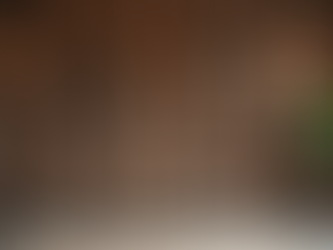 Top 10 DIY Rustic Home Decor Projects