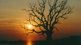 Nach der langen Reise wieder Zuhause .......