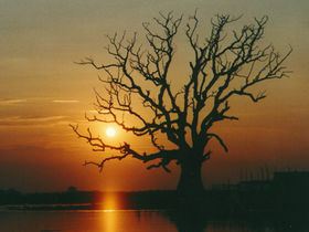 Nach der langen Reise wieder Zuhause .......