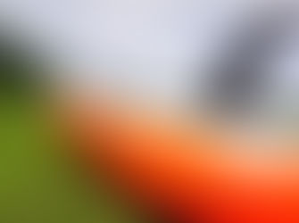 So vermeidest du typische SUP Anfänger Fehler!