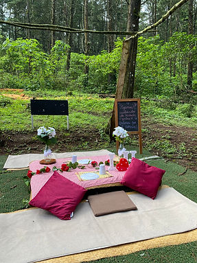 WhatsApp Image 2025-06-30 at 11.21.13 AM.jpeg