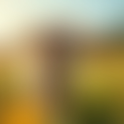 The Ultimate Indian Female Dog Names for Your Pawsitively Adorable Pooch by Woofzo