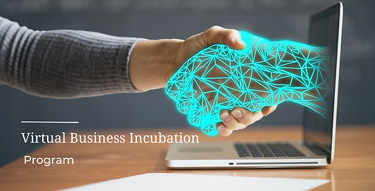 Virtual Business Incubation.png