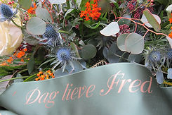 IMG_7311.jpeg
