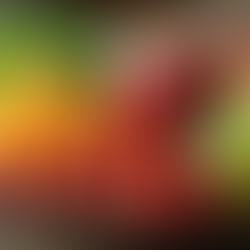 Perte de poids : conseils nutritionnels personnalisés