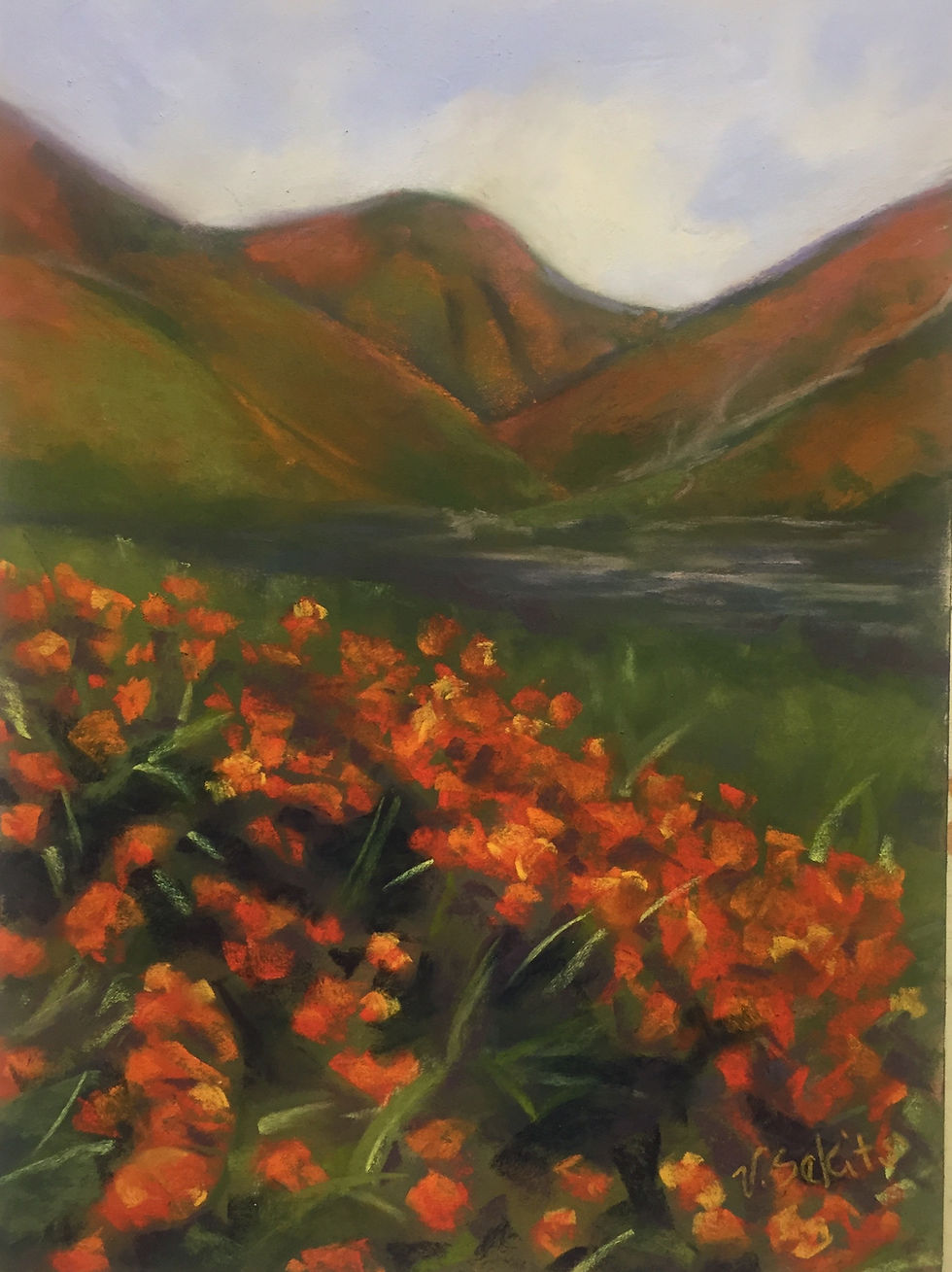 California super bloom