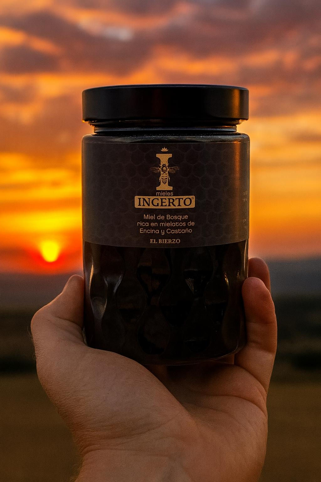 Mielato de Encina y Castaño 1kg. Producto gourmet Limitado.