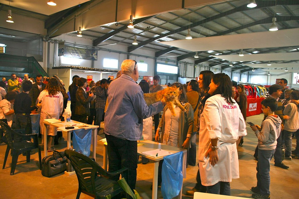 182ª Exposição Internacional Felina