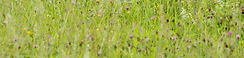 DE7240FC-A73B-4ADA-9A47-EDD9E495FE94_1_201_a.jpeg