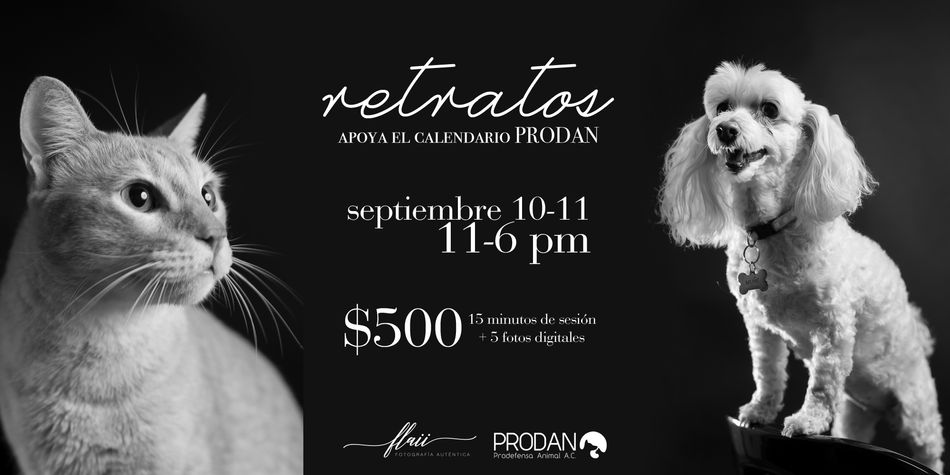 Retratos por PRODAN
