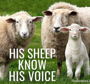 "Don't Judge A Book By It's Cover" (Galatians 6:9) 