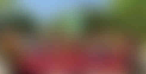 參與成員齊聚在巨大綠色蛙王公仔前合照,背景為八德埤塘生態公園藍天綠意,氣氛熱絡愉快。