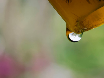 水滴即將從黃色邊緣滴落的微距特寫,水滴中清晰倒映著樹林與天空的景色。