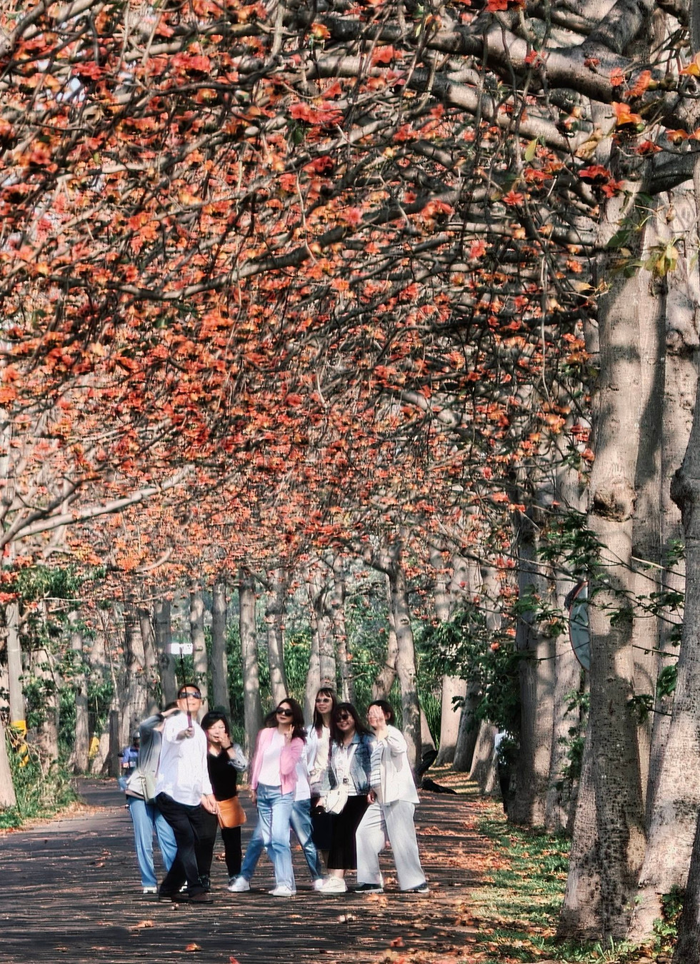 7位台中元生員工在旅遊小柏玩樂包車的旅遊規劃讓大家在溪州公園木棉道樹下一起拍照玩樂