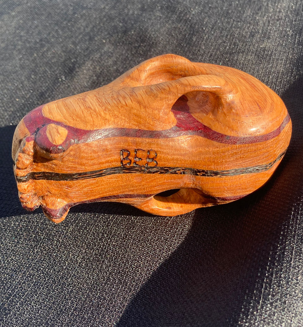 Thumbnail: bear skull