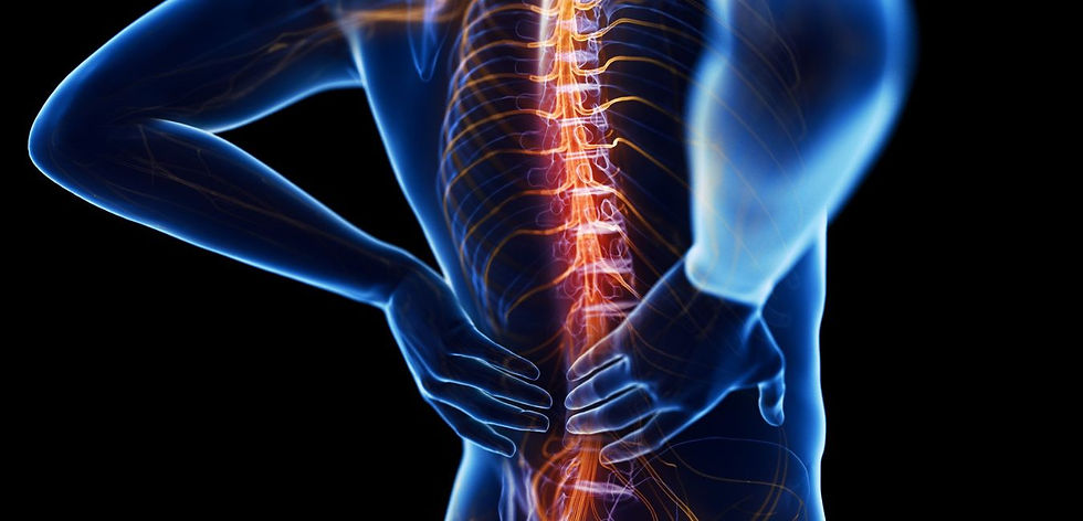 Warum verspannt der Quadratus lumborum?