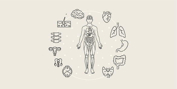 Comida + Oxígeno → ATP → Energía para vivir con claridad y movimiento.