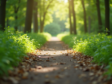 Top Wellness Strategies for a Healthier Lifestyle