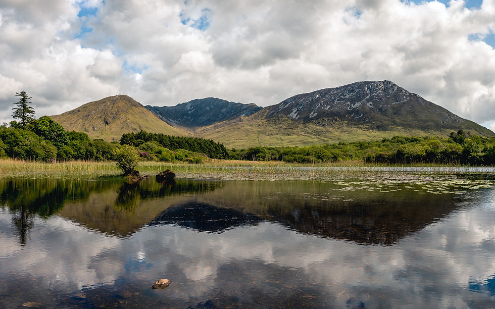 Thumbnail: Ireland