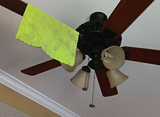 20250807_162210.jpg