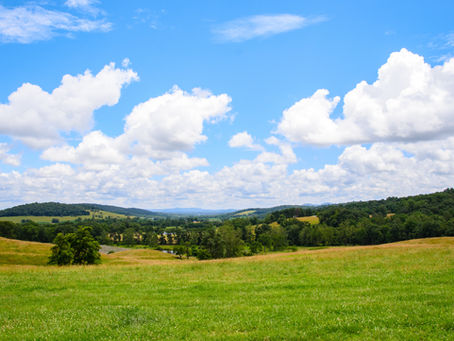Donate to CFFC on Give Local Piedmont
