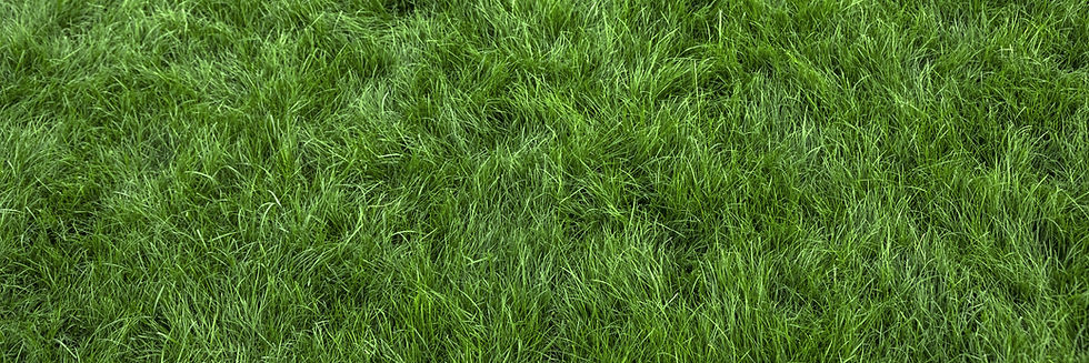 AdobeStock_328225687.jpeg
