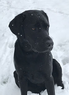 IMG_3525.JPG