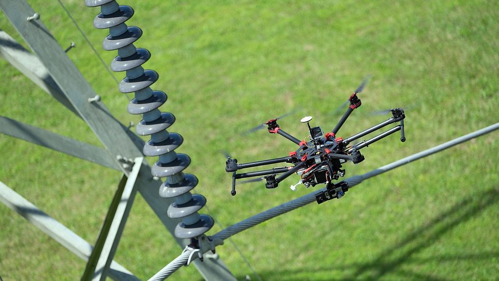 Drone Inspection and Reports