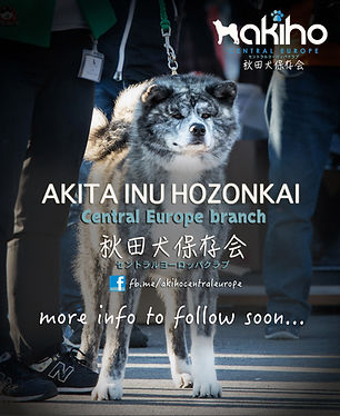 akiho-plakat3.jpg