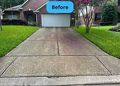 Driveway Before.png