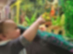 fish