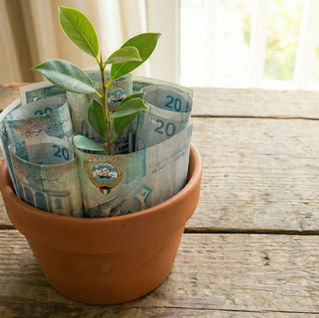 أساسيات الاستثمار