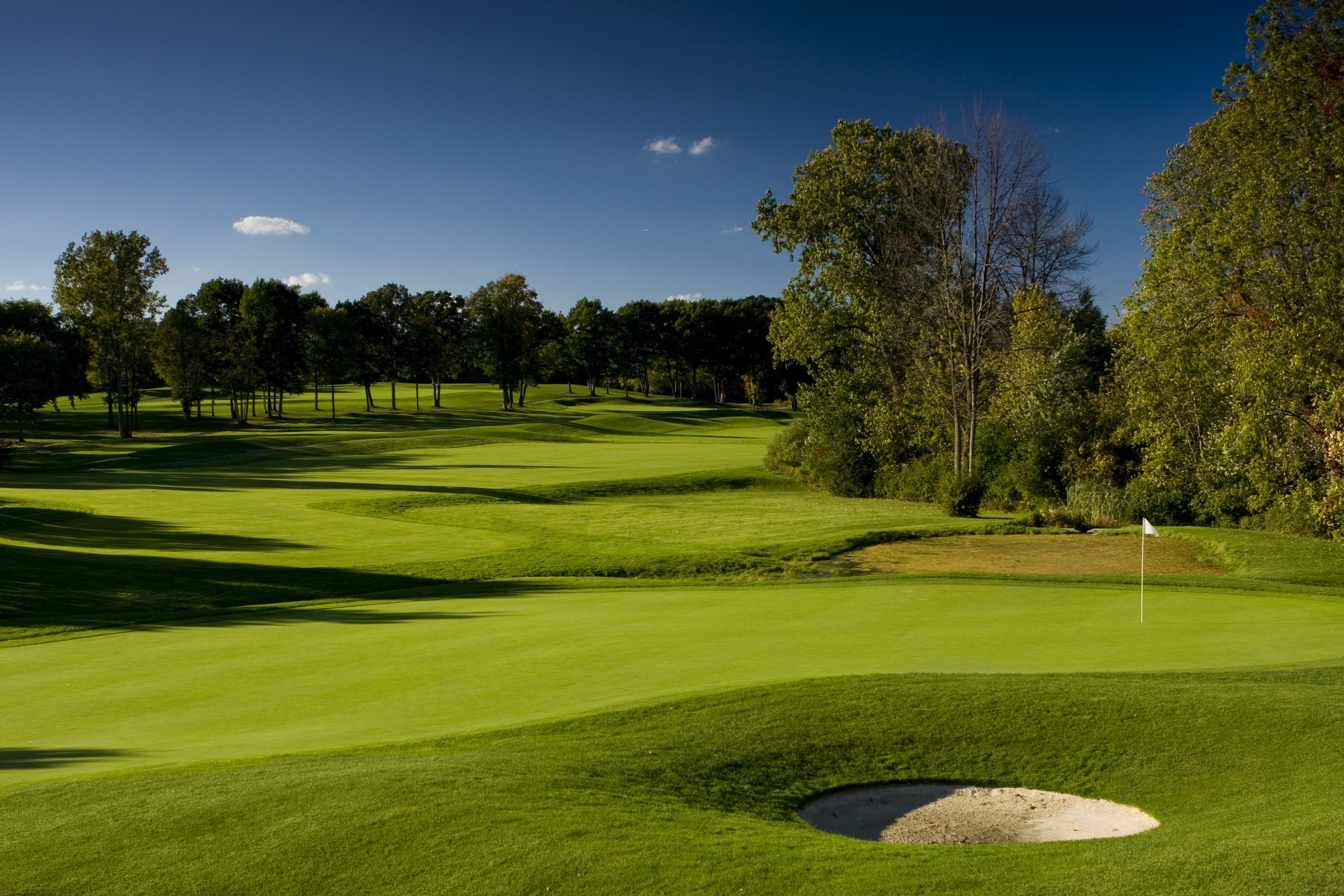 Pine Trace Golf Club