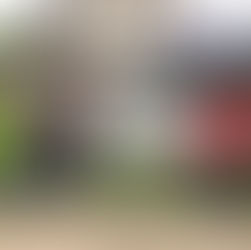 Cultivating Change: Youth Food Justice Internship Program