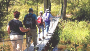Guardianes del Bosque: Únete a la Lucha por Proteger los Vitales Pinelands de Nueva Jersey 