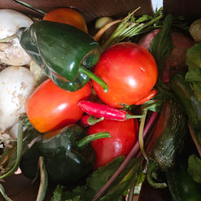 Connecting Culture and Community: Introducing Our Farm-Fresh Produce Subscription Program (CSA)