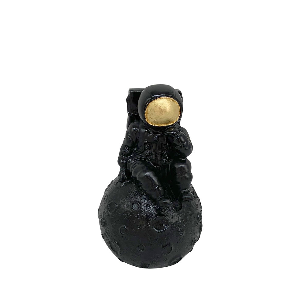 Y287N 20X11cm
