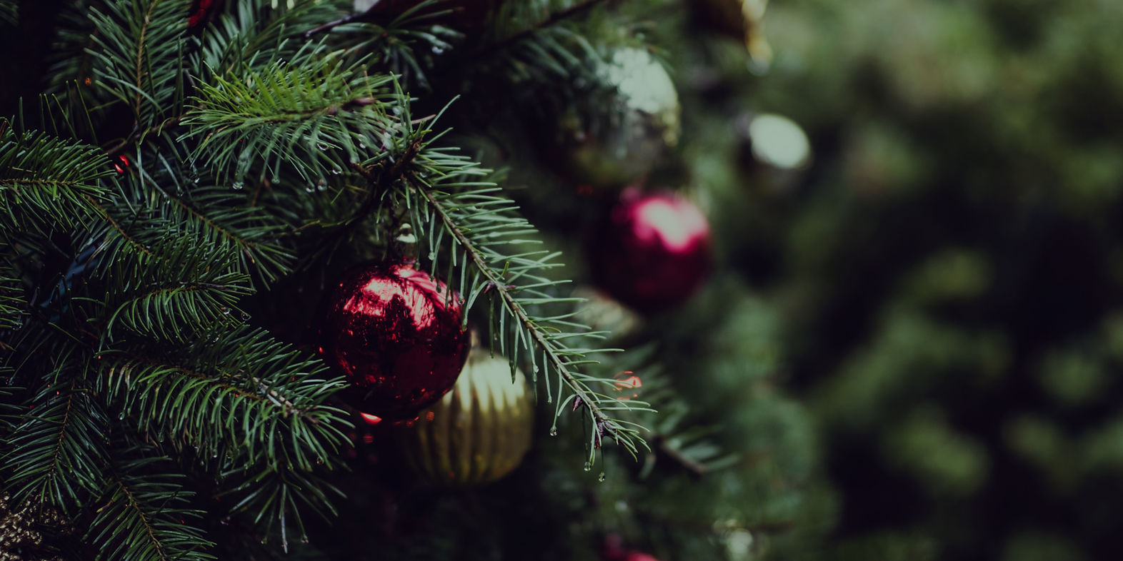 Christmas Tree Decorations_edited.jpg