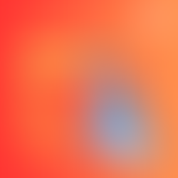 Constitutional Observer Training