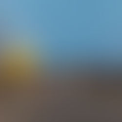 SCVI Supports and Honors Veterans