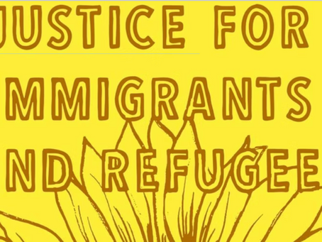 Calling Immigrant Rights Advocates Constitutional Observer Training