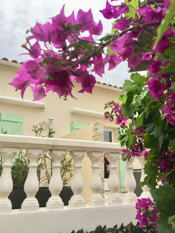 Villa Colombier location saisonnière Var terrasse privée table à manger parasols vue piscine