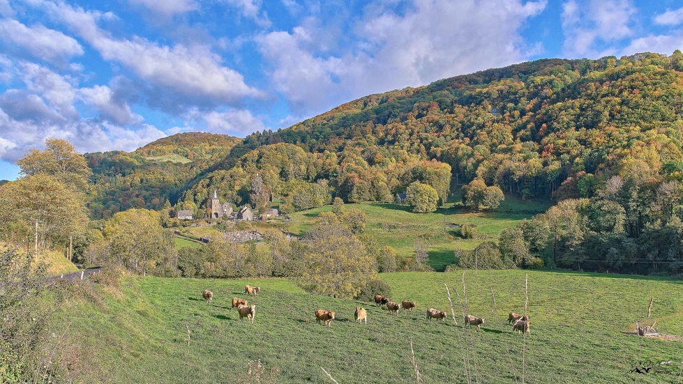 _DSC3054 (Grand)