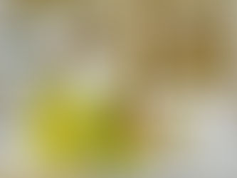 0138 - Money Moves Where You Anchor!